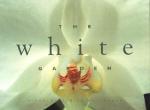 White Garden Notecard Portfolio